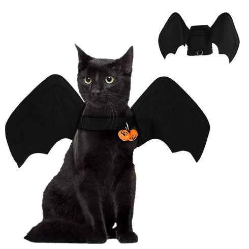 Halloween cat Bat Wings Vampire Costume