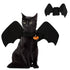 Halloween cat Bat Wings Vampire Costume