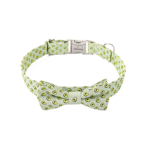 Cute Rainbow Kitten Safety Collars