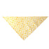Fruit Pattern Cooling Summer Cute Dog Bandana