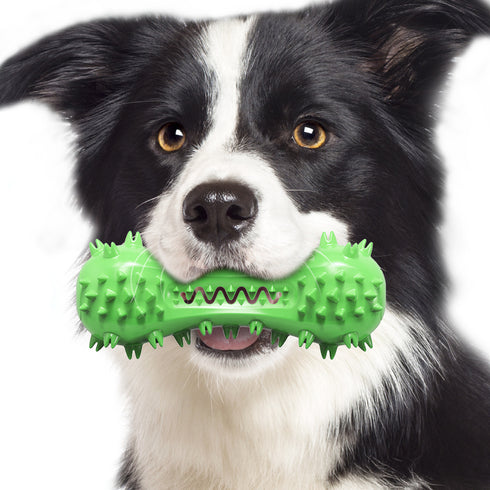 Dog Chew Indestructible Durable Toothbrush Toys