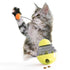 Cat Playing Chasing Tumbler Dog Treat Ball