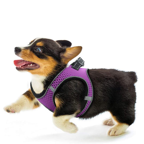 Breathable Mesh Summer Vest Reflective Dog Harnesses