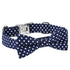Dot Dog and Cat Collar with Bowtie