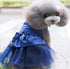 Dog Dress with Lovely Bow on Weddings