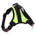 Easy for Walking Sport Harnesses with Handle