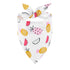 Summer Fruit Animal Dog Bandana Triangle Bibs