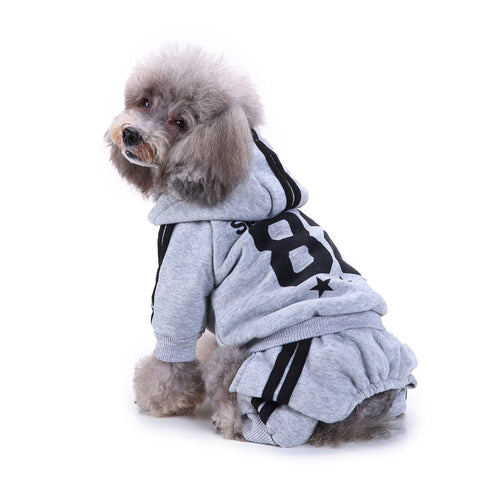Dog Hoodie Outfits Suitable for Spring Fall and Winter