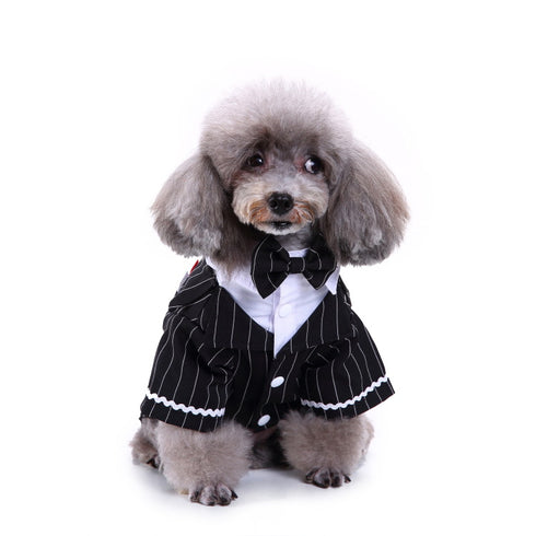 Formal Tuxedo with Bow Tie Puppy Suit