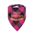 Plaid Painting Dog Birthday Bandana Girl Boy