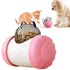 Dog Balance Swing Car Slow Feeder Treat Ball Toys