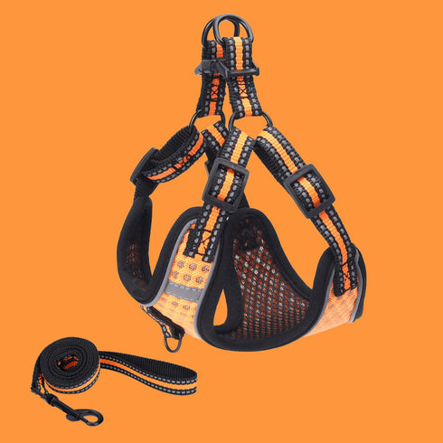Summer Breathable Mesh Cat Harnesses