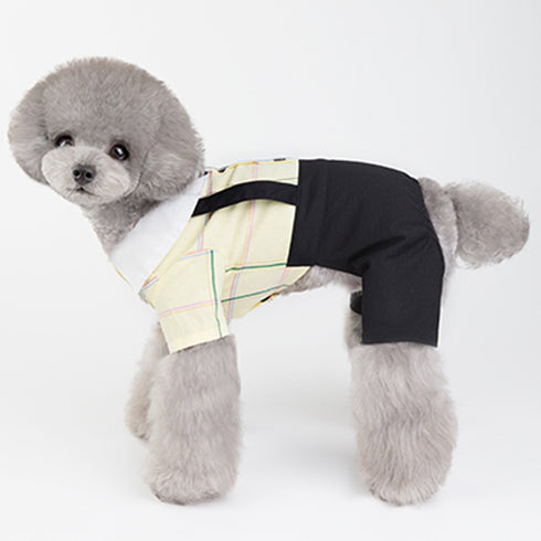 Small Dog Apparel with 4 Legs for Wedding