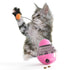 Cat Playing Chasing Tumbler Dog Treat Ball