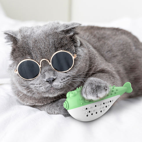 Cats Toys With Sound Pets Supplies Funny Kitten Toothbrush