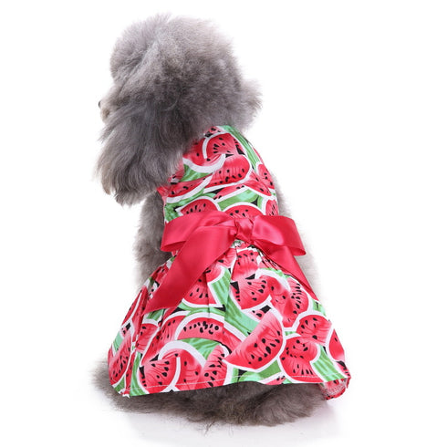 Summer Floral Print Small Dog Dress