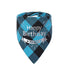 Plaid Painting Dog Birthday Bandana Girl Boy