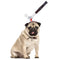 Dogs Halloween Horror Headbands Beer Bottle