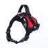 Easy for Walking Sport Harnesses with Handle