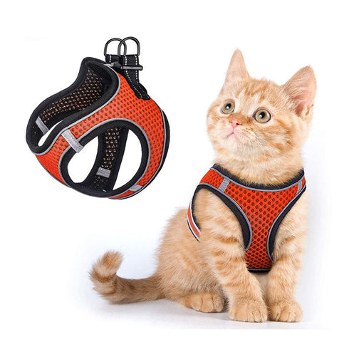 Cat Adjustable Soft Padded Oxford Mesh Vest