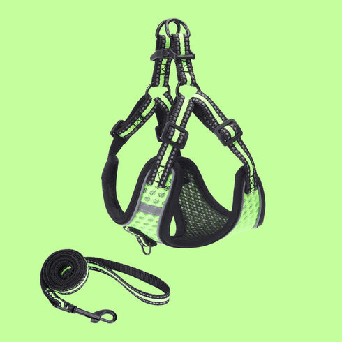 Summer Breathable Mesh Cat Harnesses