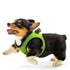 Breathable Mesh Summer Vest Reflective Dog Harnesses