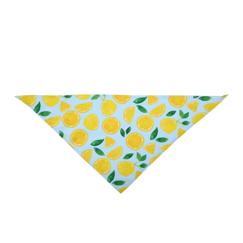 Washable Fruit Summer Pet Bandanas