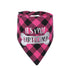 Plaid Painting Dog Birthday Bandana Girl Boy