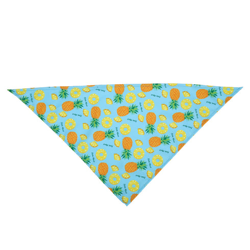 Washable Fruit Summer Pet Bandanas