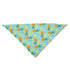 Washable Fruit Summer Pet Bandanas