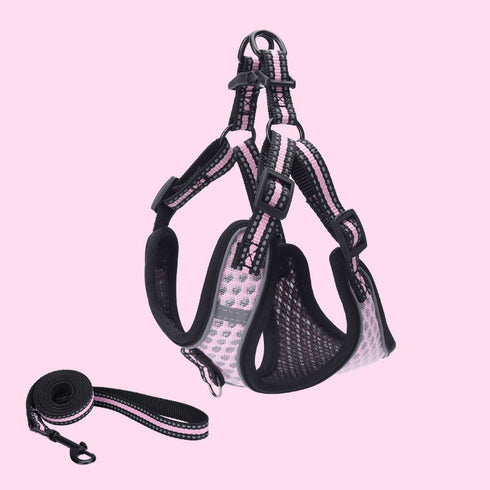 Summer Breathable Mesh Cat Harnesses