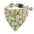 Daisy Floral Color Cat Collar