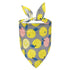 Summer Fruit Animal Dog Bandana Triangle Bibs
