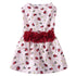 Summer Dog Dress Pet Apparel in Holiday