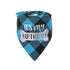 Plaid Painting Dog Birthday Bandana Girl Boy