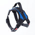 Easy for Walking Sport Harnesses with Handle