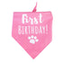 Dog First Birthday Bandana Triangle Bibs