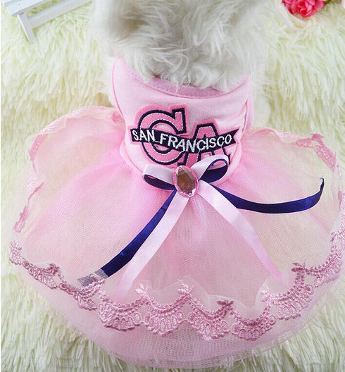 Puppy Dress on Holidays for Dogs