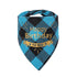 Plaid Painting Dog Birthday Bandana Girl Boy