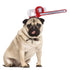 Dogs Halloween Horror Headbands Beer Bottle
