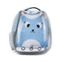 Space Capsule Airline-Approved Dog Backpack
