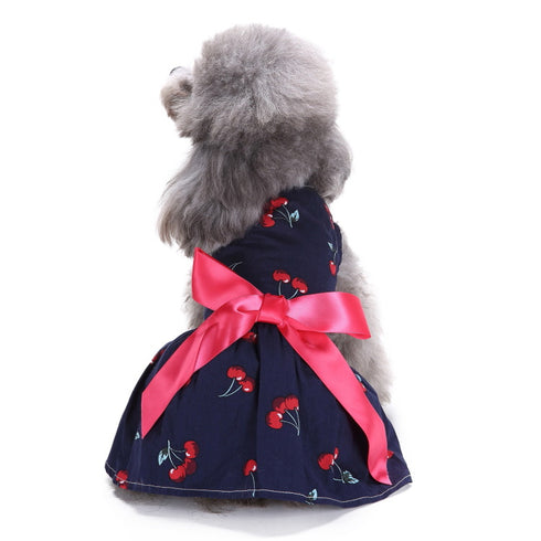 Summer Floral Print Small Dog Dress