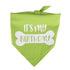 Cute Birthday Party Supplies Bandana