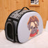 Pet Travel Carrier Airline Approved