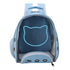 KittensTransparent Carrier Pet Backpack