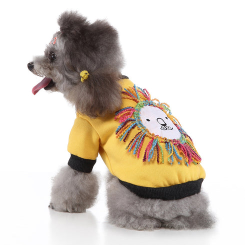 Dog Hoodie Outfits Suitable for Spring Fall and Winter