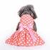 Summer Floral Print Small Dog Dress