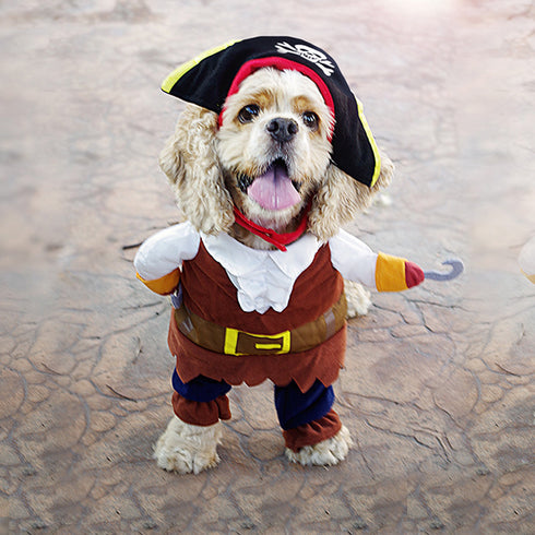 Dog Costume with Hat Halloween Suit