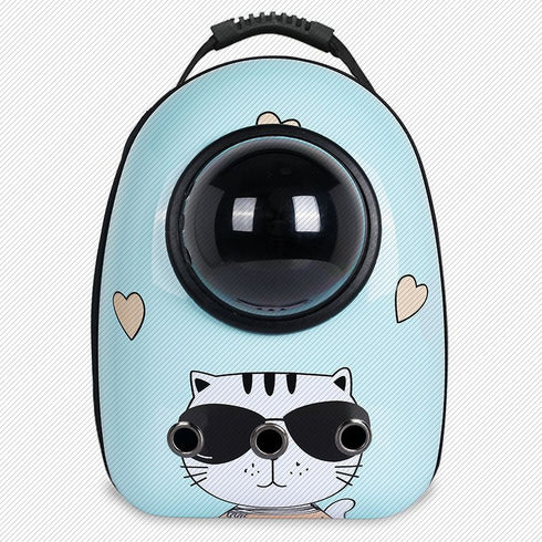 Bubble Pet Carrier Walking & Outdoor Use