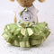 Bow Lace Tutu Skirt Doggie Dress